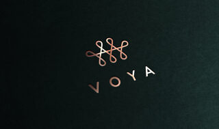 Voya – Logo (Physical)